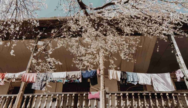APARTMENT WITHOUT BALCONY
