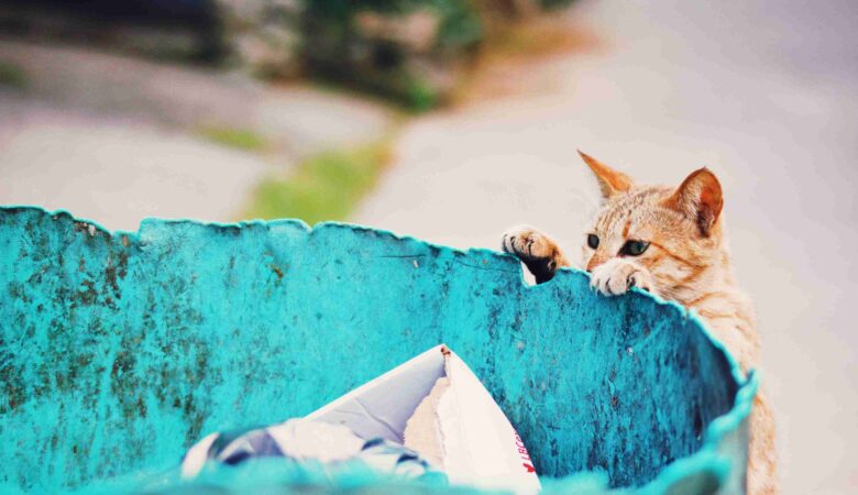 EMPTY THE BIN