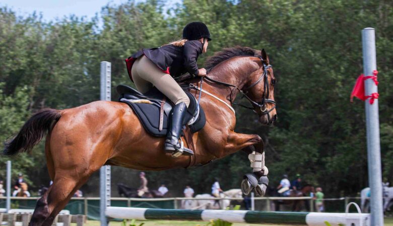 HORSE RIDING